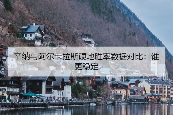 辛纳与阿尔卡拉斯硬地胜率数据对比：谁更稳定